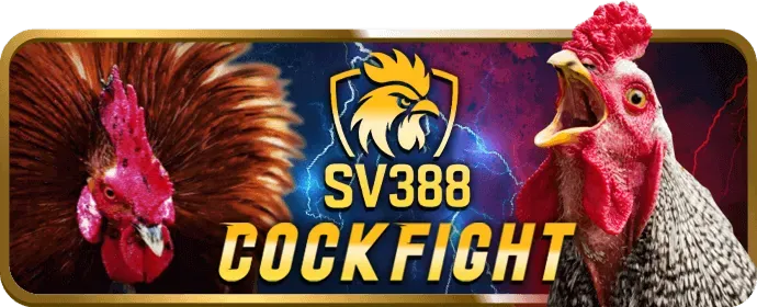 Thông tin bảo mật cr88 code